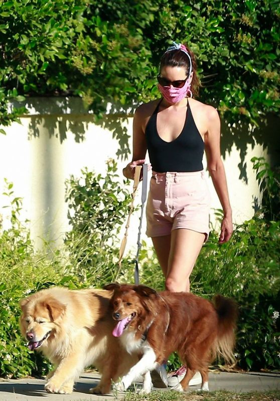 Aubrey Plaza in Shorts - Walking Her Dogs in Los Feliz 06/11/2020