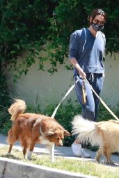 Aubrey Plaza - Walking Her Dogs in LA 06/13/2020