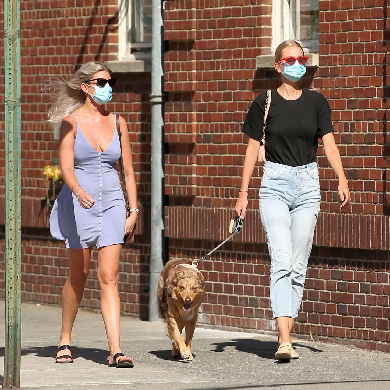 Daphne Groeneveld - Walks Her Dog in New York City 06/24/2020 • CelebMafia