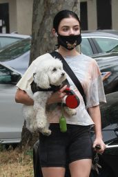 Lucy Hale - Walking Her Dog Elvis in LA 06/25/2020