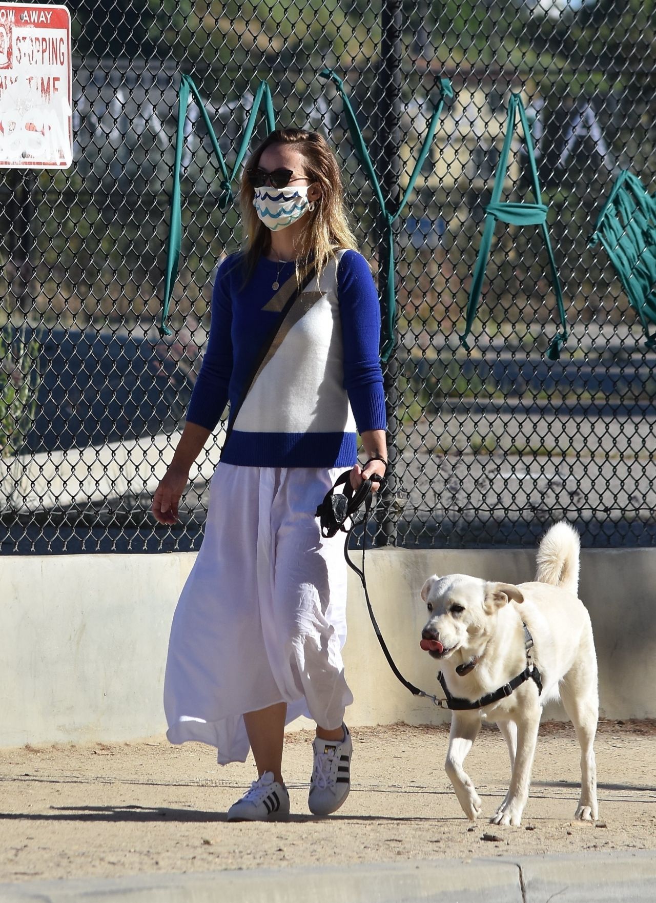 Olivia Wilde - Walking Her Dog in LA 06/07/2020 • CelebMafia