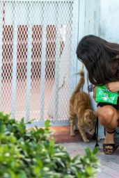 Claudia Romani - Feeds Homeless Cats on Her Way to the Beach in Miami 07/15/2020
