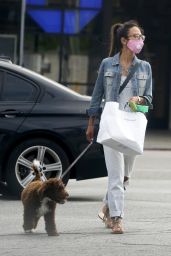 Jordana Brewster - Walks Her Dog in Brentwood 06/30/2020