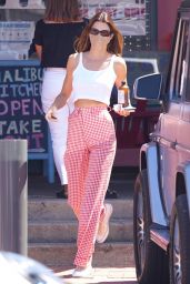 Kendall Jenner in a Pair of Red Gingham Print Pants and a Crop Top - Malibu 07/29/2020