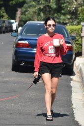 Lucy Hale in Shorts - Walking Elvis in Studio City 07/16/2020