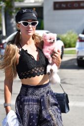 Paris Hilton - Shopping in Malibu 07/06/2020