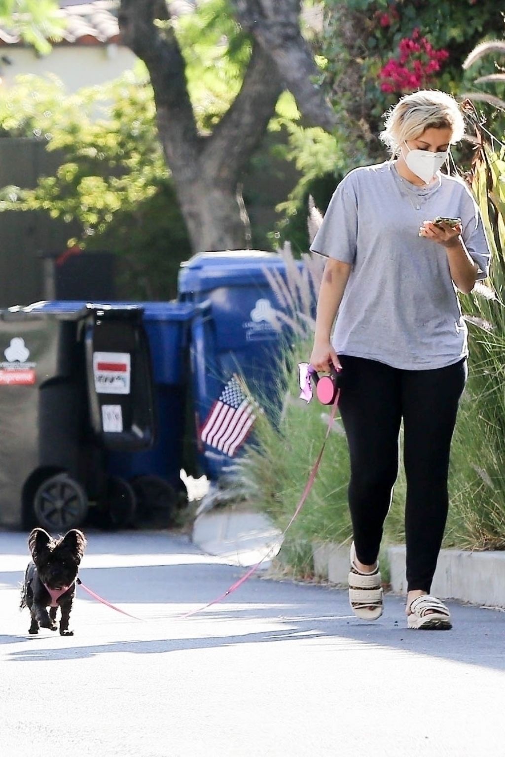 Bebe Rexha - Taking Her Dog For a Walk in Hollywood 08/06/2020 • CelebMafia