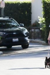 Bebe Rexha - Taking Her Dog For a Walk in Hollywood 08/06/2020