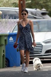 Lucy Hale in Polka Dot Dress - Out in Studio City 08/13/2020