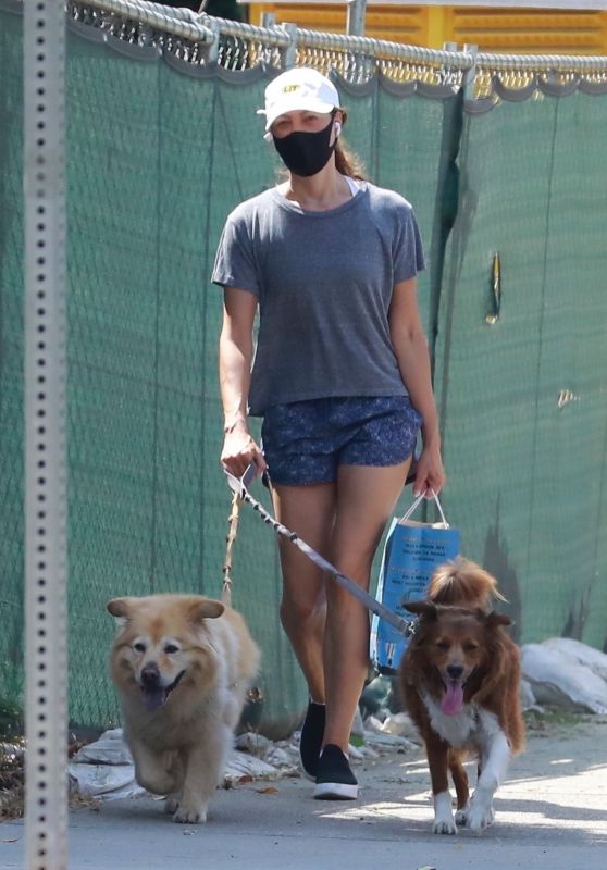Aubrey Plaza - Walking Her Dogs in Los Feliz 08/15/2020