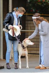 Drew Barrymore - Help a Dog Who Was Injured by an Apparent Hit and Run in NYC 09/22/2020