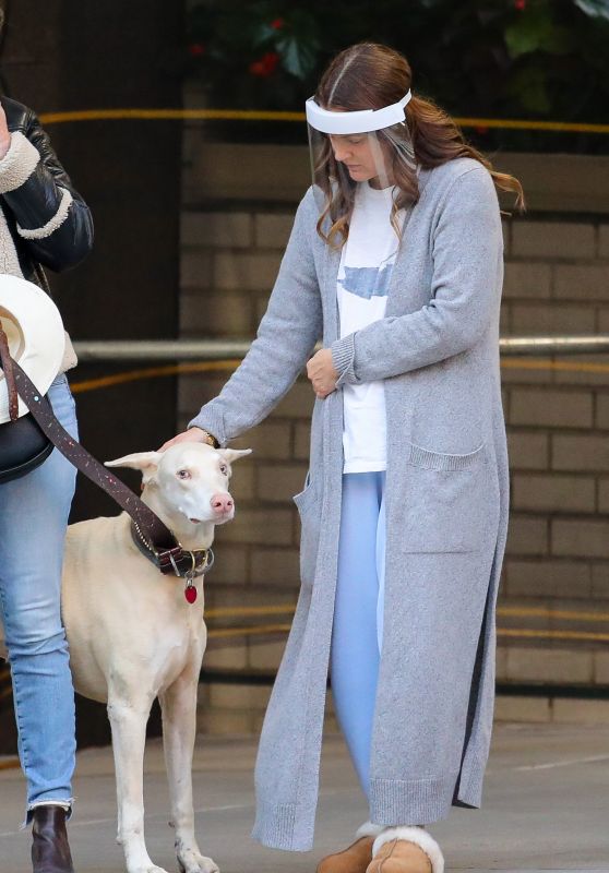 Drew Barrymore - Help a Dog Who Was Injured by an Apparent Hit and Run in NYC 09/22/2020