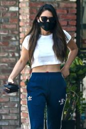 Olivia Munn - Out in Studio City 09/18/2020