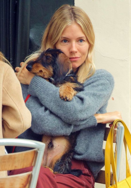 Sienna Miller - Out With Her Dog in London 09/08/2020