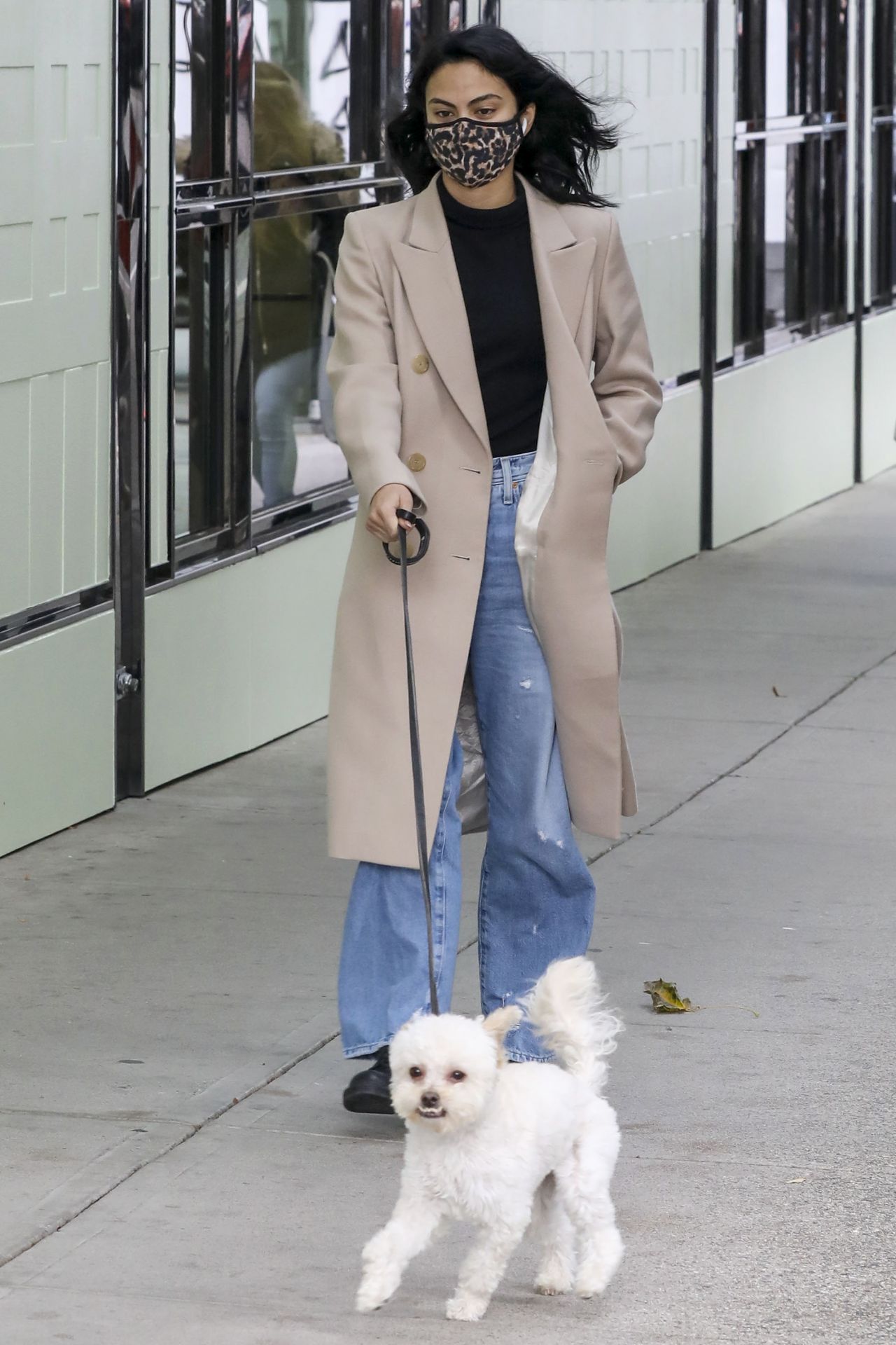 Camila Mendes - Walking Her Dog in Vancouver 10/27/2020 • CelebMafia