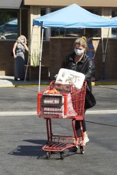 Mischa Barton - Grocery Shopping in LA 10/02/2020