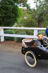 Sophia Bush - Driving Electric Bike in LA 10/27/2020