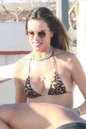 Alessandra Ambrosio in Cabo San Lucas 11/02/2020