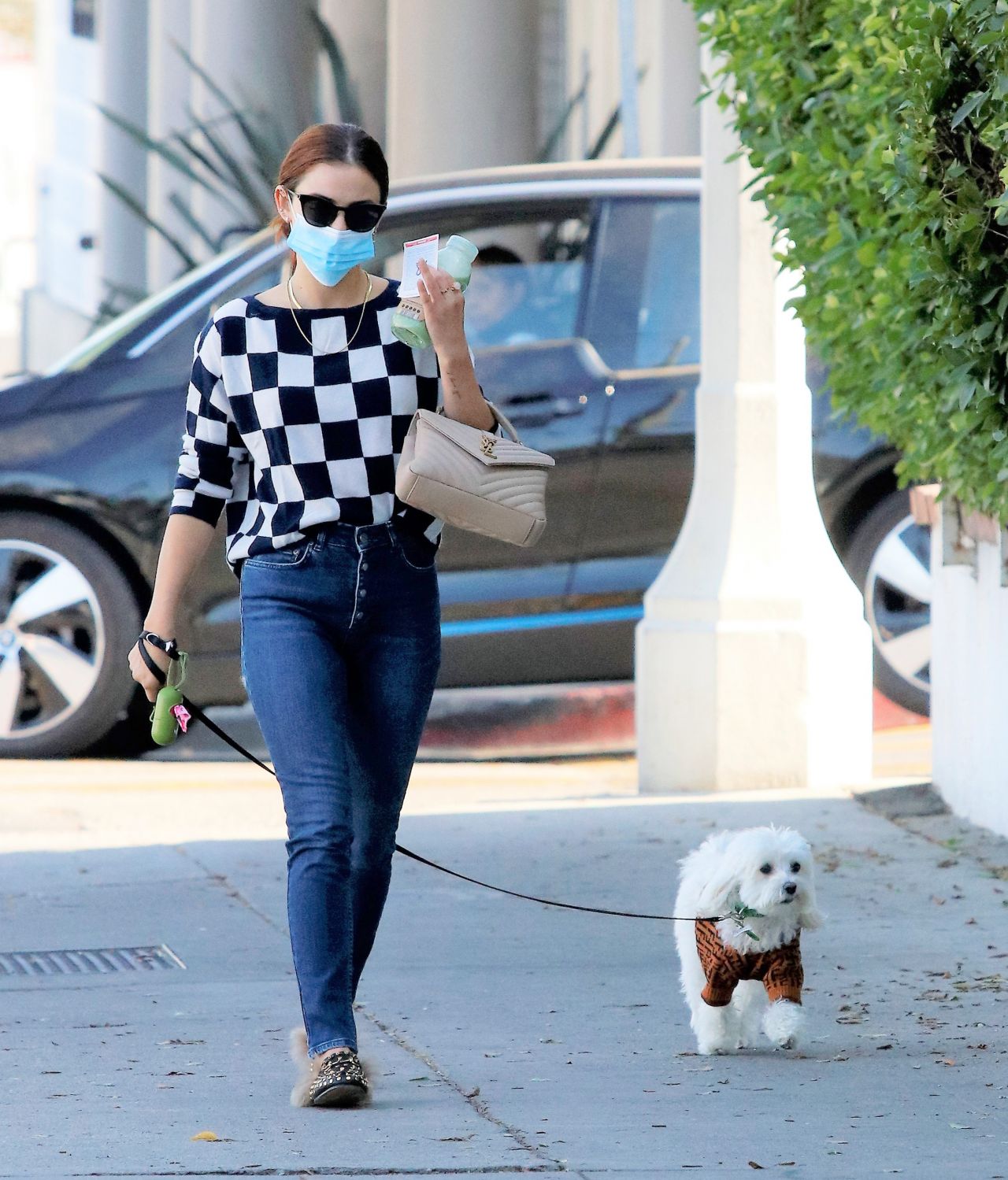 Lucy Hale in a Stylish Outfit - Walking Her Dog in LA 11/12/2020 ...