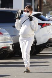 Ashley Tisdale - Shopping in Van Nuys 12/20/2020