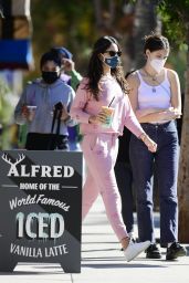 Eiza Gonzalez in a Pink Sweatsuit - Los Angeles 12/05/2020