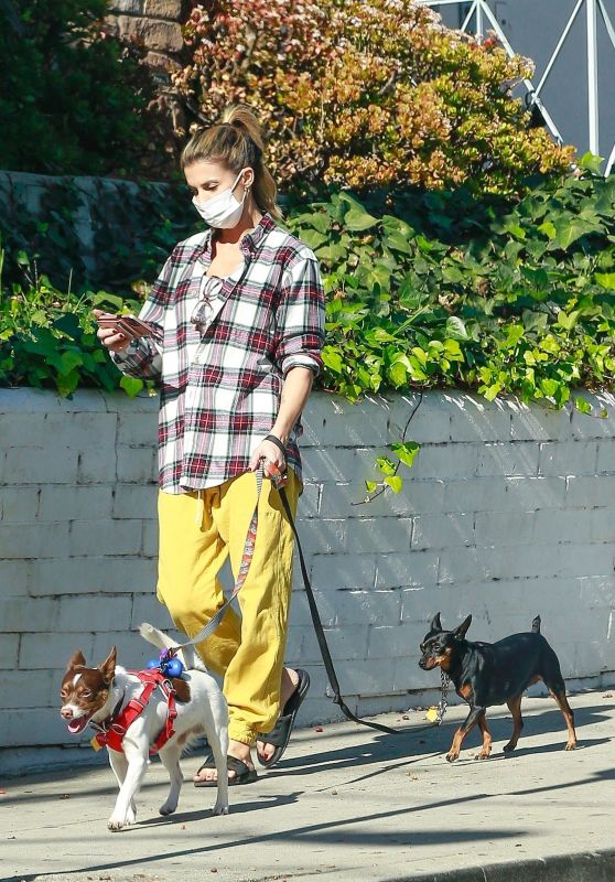 Elisabetta Canalis - Walking Her Dogs in Beverly Hills 12/13/2020