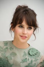 Felicity Jones - "Like Crazy" Press Conference in Beverly Hills