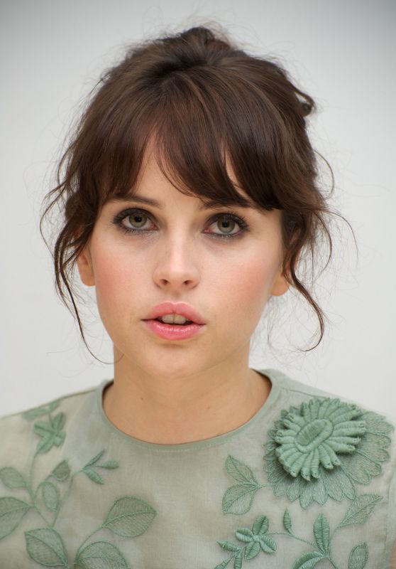 Felicity Jones - "Like Crazy" Press Conference in Beverly Hills