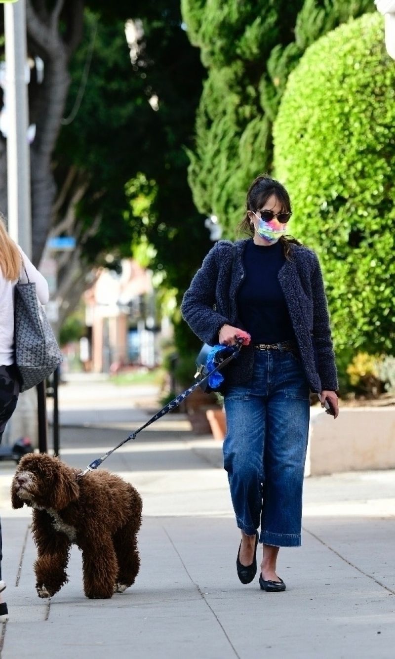 Jordana Brewster - Walking Her Dog in Brentwood 01/13/2021 • CelebMafia