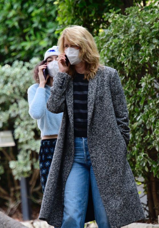 Laura Dern - Out in Brentwood 02/03/2021