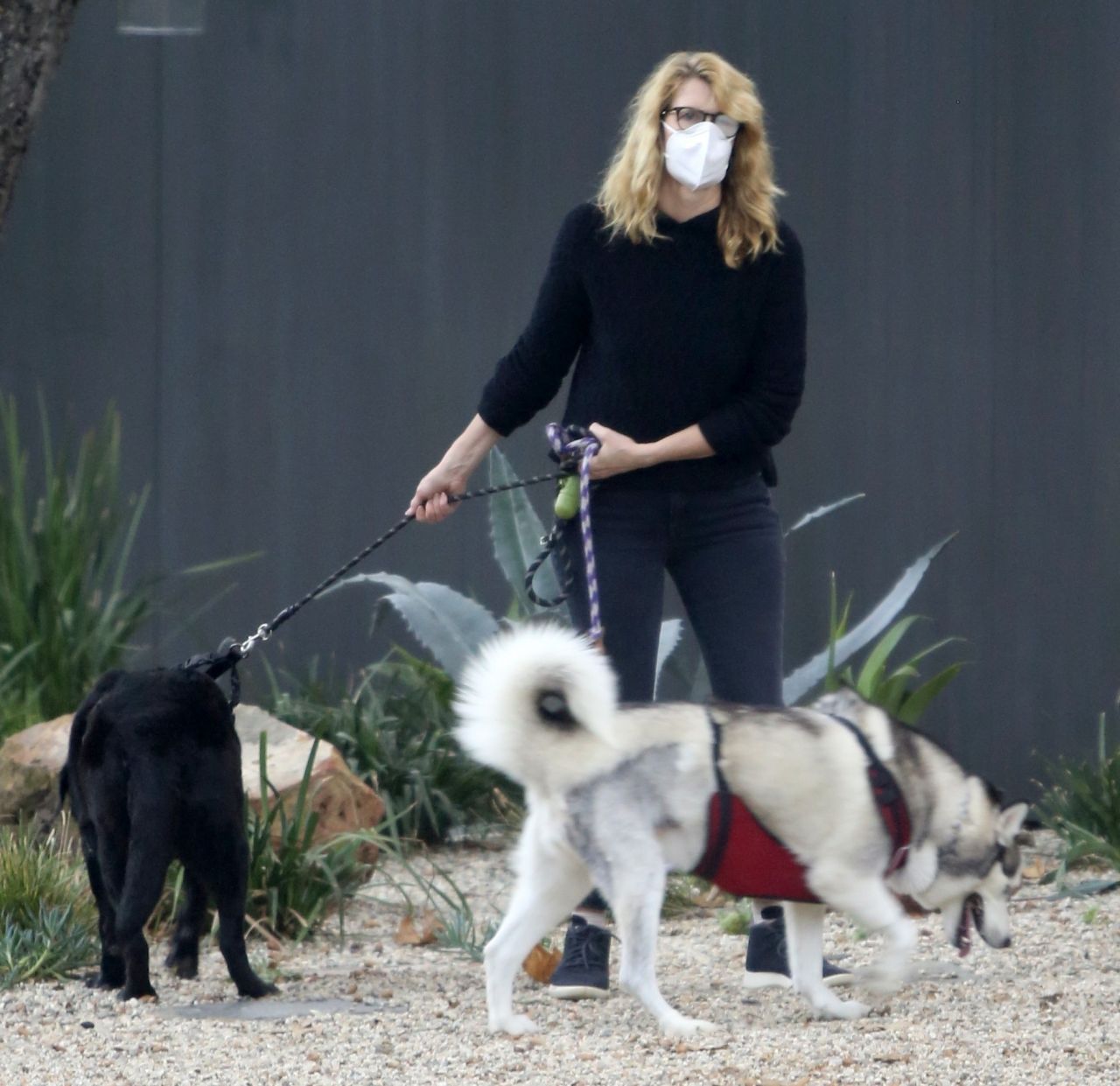 Laura Dern Dons Dress, Gucci Sneakers to Walk Her Dog in Los Angeles –  Footwear News
