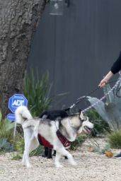 Laura Dern - Takes Her Dogs For a Walk in LA 02/10/2021