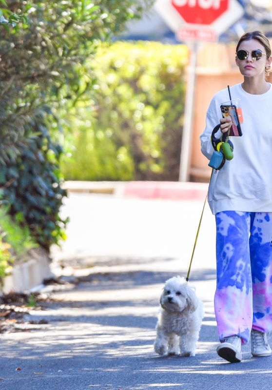 Lucy Hale - Walking Her Dog in Studio City 02/24/2021