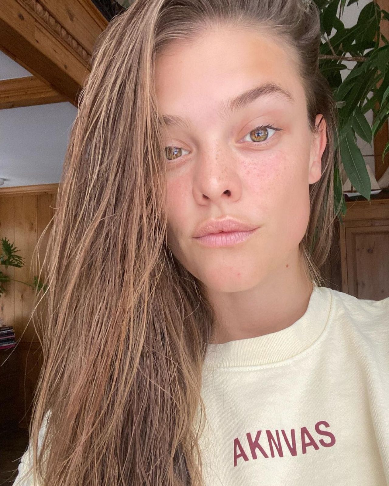 Nina Agdal 02/19/2021 • CelebMafia