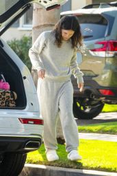 Rachel Bilson in a Grey Sweats - North Hollywood 02/08/2021