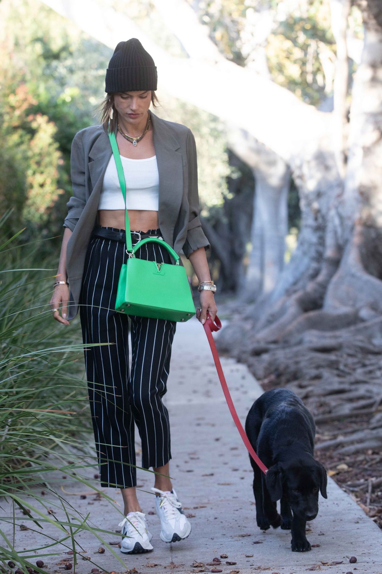 Alessandra Ambrosio - Walking Her Dog in Santa Monica 03/24/2021