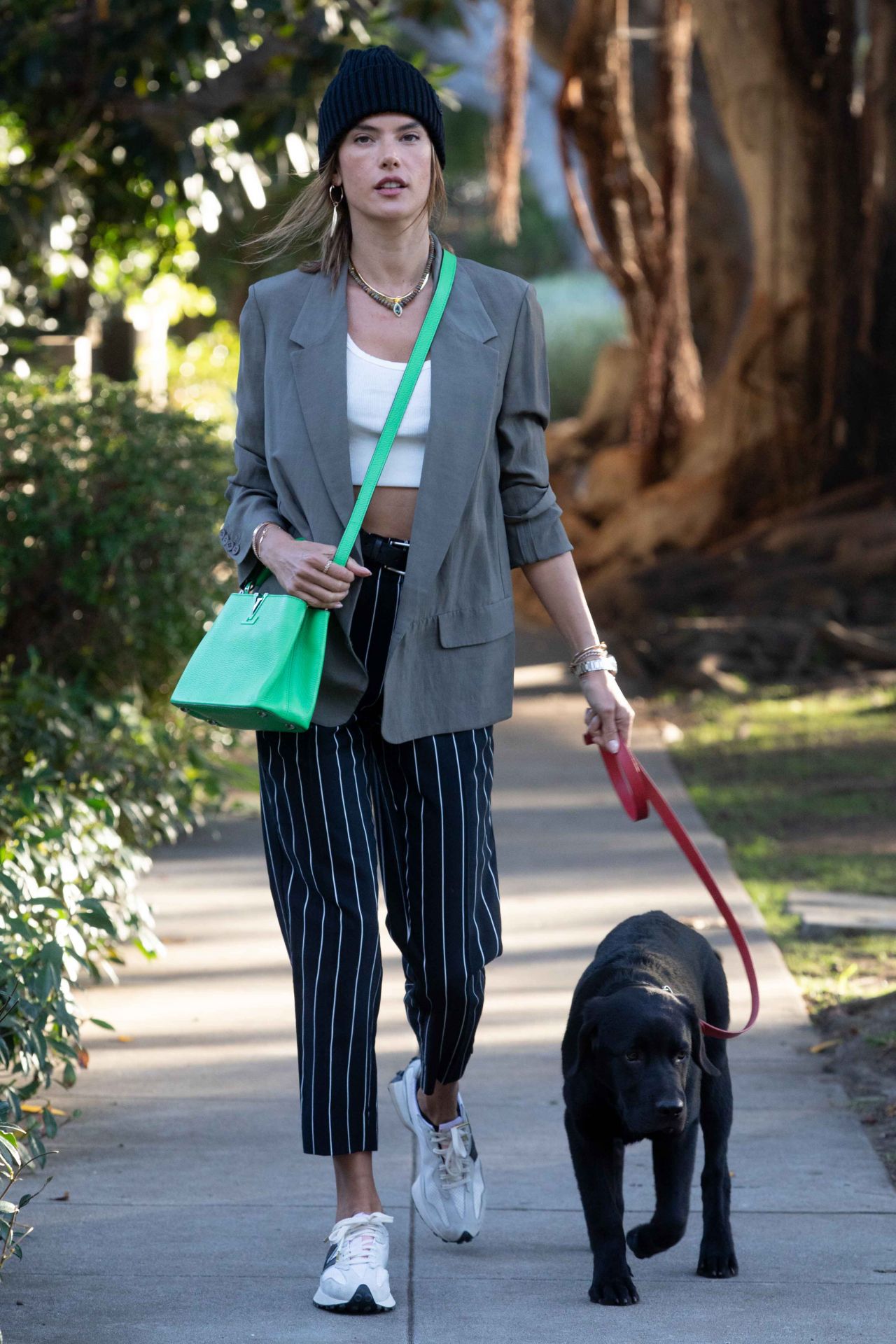 Alessandra Ambrosio - Walking Her Dog in Santa Monica 03/24/2021