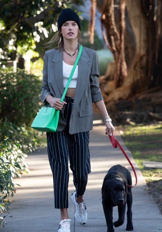 Alessandra Ambrosio - Walking Her Dog in Santa Monica 03/24/2021