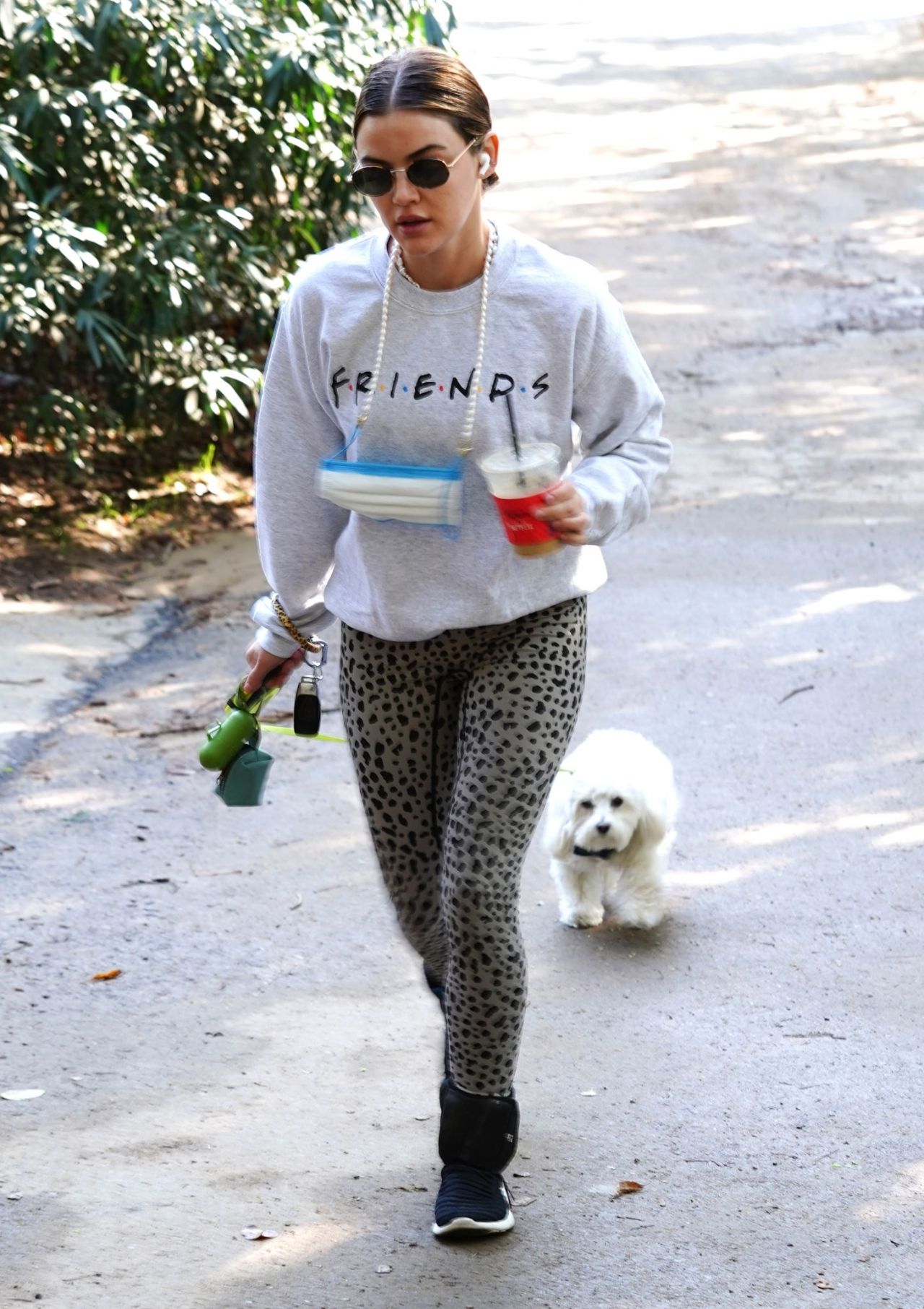 Lucy Hale - Walking Her Dog in Studio City 03/04/2021 • CelebMafia