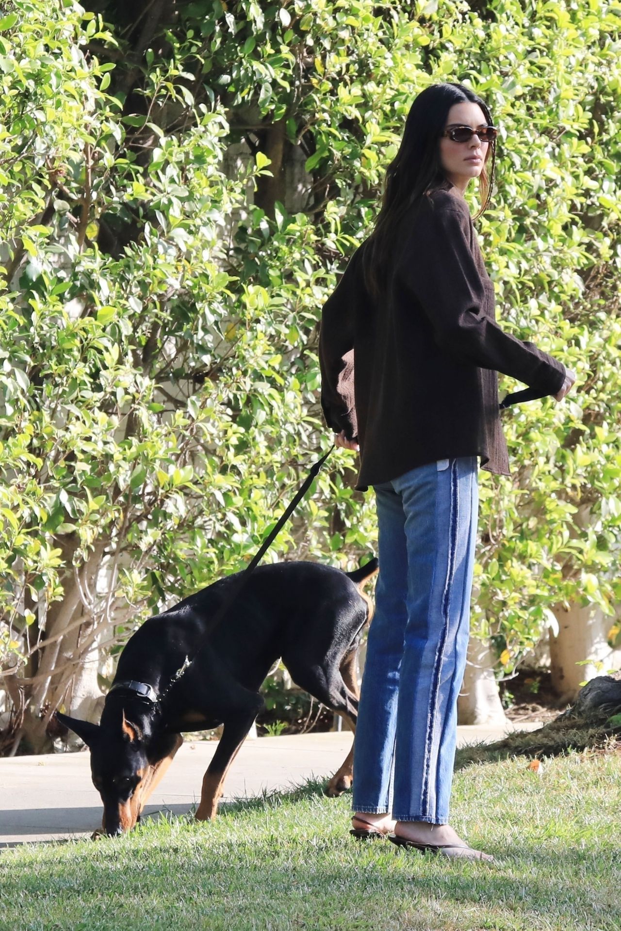 kendall jenner visits a friend before a trip to the medical plaza with her  dog in beverly hills, california-030522_10