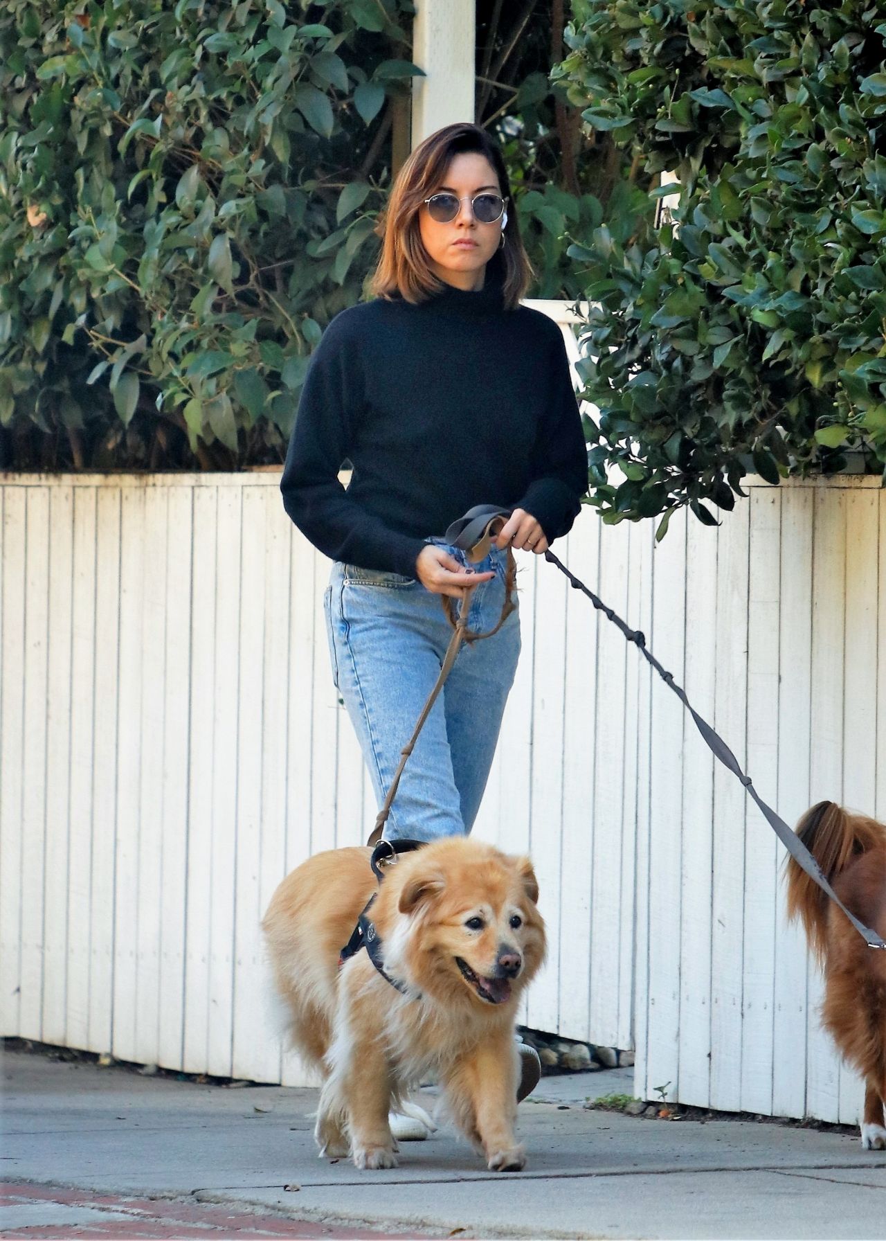 Aubrey Plaza Takes Her Dogs For a Walk - LA 10/19/2021 • CelebMafia