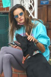 Alessandra Ambrosio - Out in Brentwood 11/02/2021