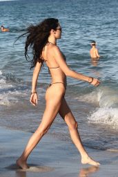 Bella Hadid in an Animal Print Bikini - Miami Beach 11/13/2021