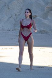 Olivia Culpo in a Bikini - Cabo San Lucas 01/15/2022