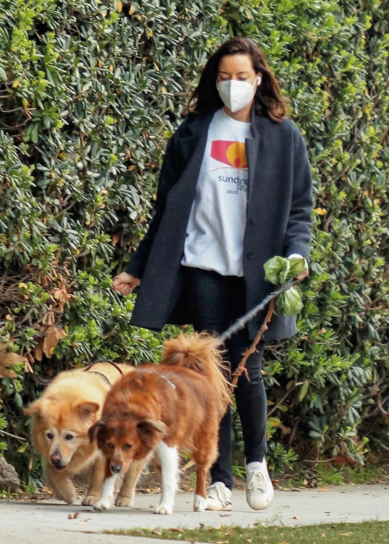 Aubrey Plaza - Walking Her Dogs in Los Feliz 02/15/2022 • CelebMafia