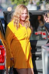 Amy Schumer    Only Murders in the Building  Special Screening in West Hollywood 06 27 2022   - 33