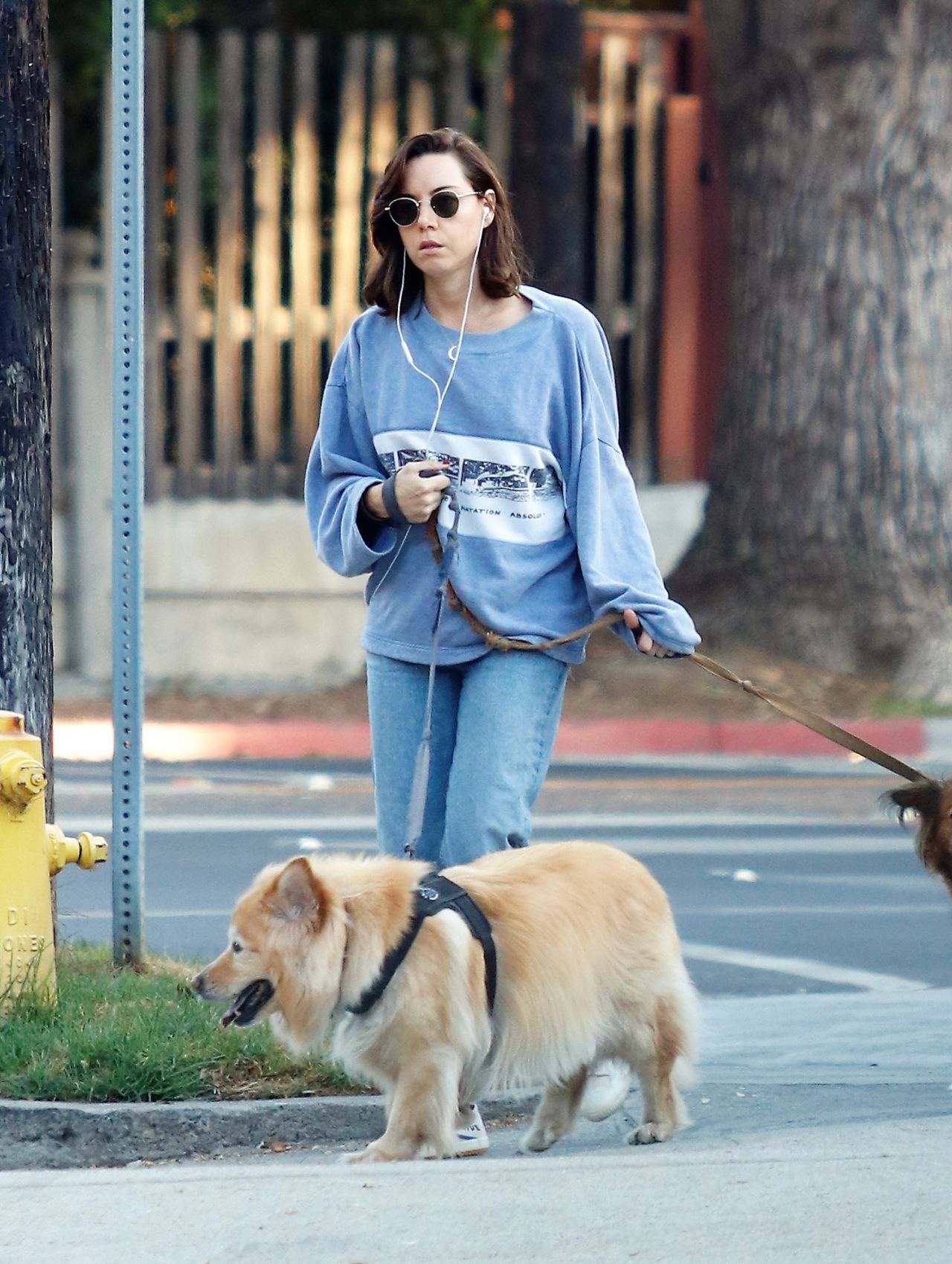 Aubrey Plaza - Out in Studio City 02/19/2022 • CelebMafia