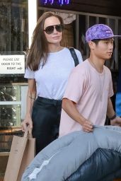 Angelina Jolie - Stops by the Pet Store in Los Angeles 09/05/2022