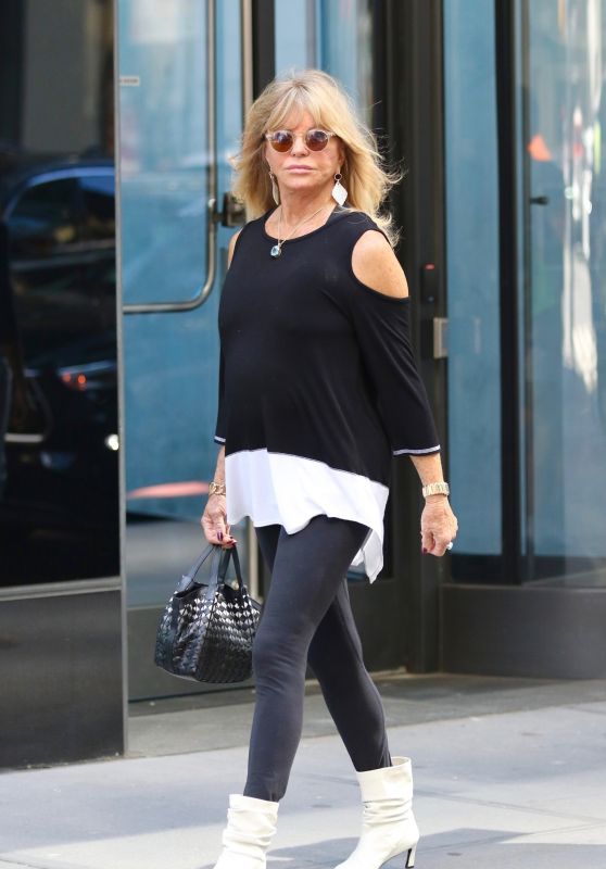 Goldie Hawn in Manhattan s Midtown Area 09 21 2022   - 21