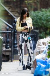 Emily Ratajkowski   Out in New York City 11 01 2022   - 26